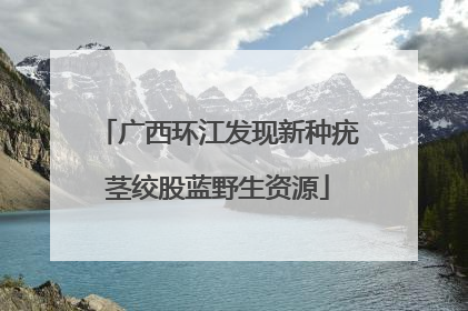 广西环江发现新种疣茎绞股蓝野生资源
