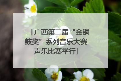 广西第二届“金铜鼓奖”系列音乐大赛声乐比赛举行