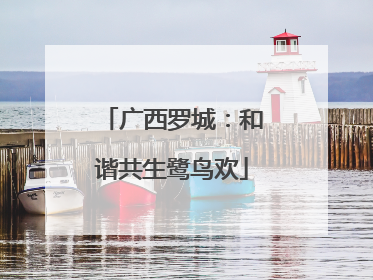 广西罗城：和谐共生鹭鸟欢