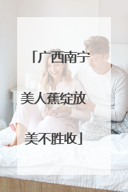 广西南宁美人蕉绽放美不胜收