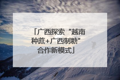 广西探索“越南种蔗+广西制糖”合作新模式