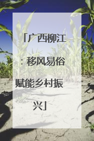 广西柳江：移风易俗赋能乡村振兴