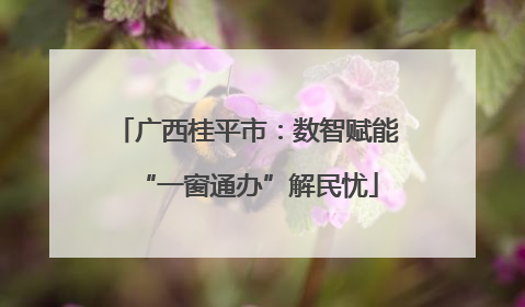广西桂平市：数智赋能“一窗通办”解民忧