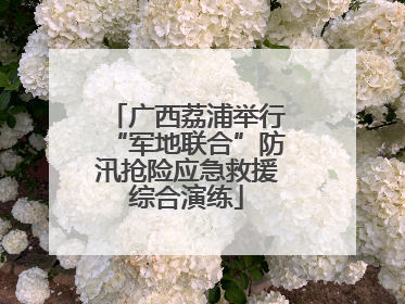 广西荔浦举行“军地联合”防汛抢险应急救援综合演练