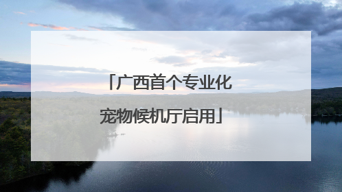 广西首个专业化宠物候机厅启用