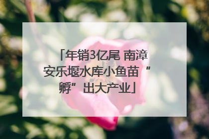年销3亿尾 南漳安乐堰水库小鱼苗“孵”出大产业