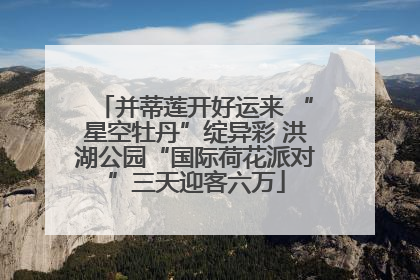 并蒂莲开好运来 “星空牡丹”绽异彩 洪湖公园“国际荷花派对”三天迎客六万