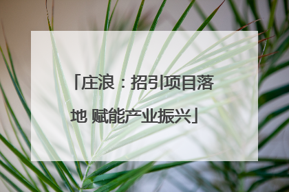 庄浪：招引项目落地 赋能产业振兴