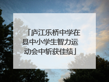 庐江乐桥中学在县中小学生智力运动会中斩获佳绩