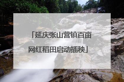 延庆张山营镇百亩网红稻田启动插秧