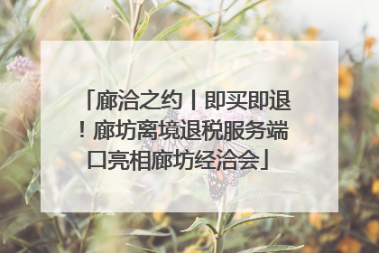 廊洽之约丨即买即退！廊坊离境退税服务端口亮相廊坊经洽会