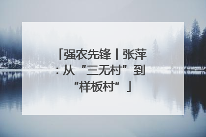 强农先锋丨张萍：从“三无村”到“样板村”
