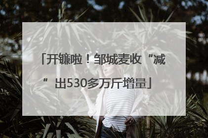 开镰啦！邹城麦收“减”出530多万斤增量