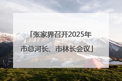 张家界召开2025年市总河长、市林长会议