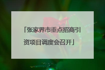 张家界市重点招商引资项目调度会召开