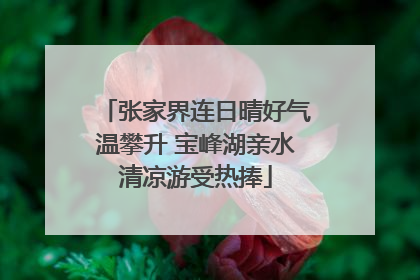 张家界连日晴好气温攀升 宝峰湖亲水清凉游受热捧