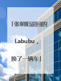 张朝阳退回的Labubu，换了一辆车