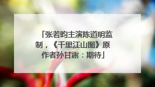 张若昀主演陈道明监制，《千里江山图》原作者孙甘露：期待