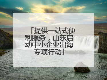 提供一站式便利服务，山东启动中小企业出海专项行动