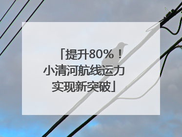 提升80％！小清河航线运力实现新突破