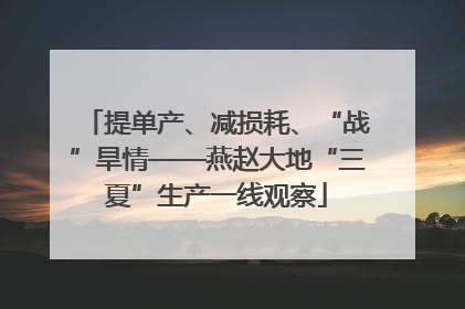 提单产、减损耗、“战”旱情——燕赵大地“三夏”生产一线观察