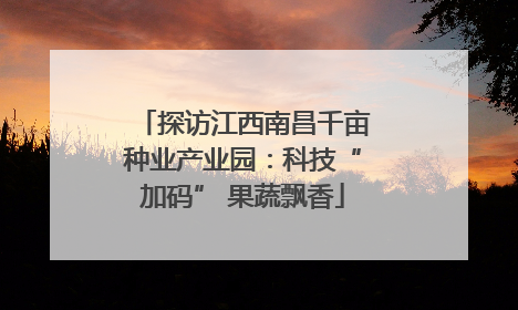 探访江西南昌千亩种业产业园：科技“加码” 果蔬飘香
