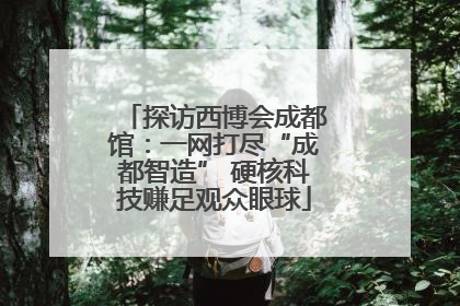 探访西博会成都馆：一网打尽“成都智造” 硬核科技赚足观众眼球