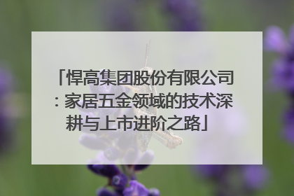 悍高集团股份有限公司：家居五金领域的技术深耕与上市进阶之路