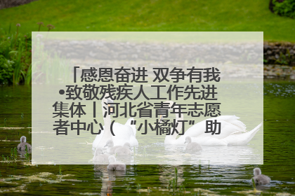 感恩奋进 双争有我•致敬残疾人工作先进集体丨河北省青年志愿者中心（“小橘灯”助残接力计划实施团队）：用温暖陪伴，守护特殊孩子成长