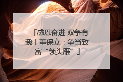 感恩奋进 双争有我丨董保立：争当致富“领头雁”