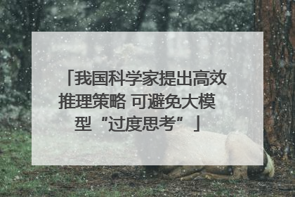 我国科学家提出高效推理策略 可避免大模型“过度思考”
