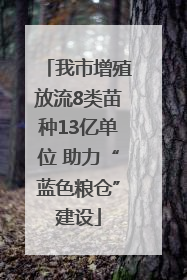 我市增殖放流8类苗种13亿单位 助力“蓝色粮仓”建设