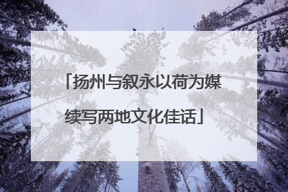 扬州与叙永以荷为媒续写两地文化佳话