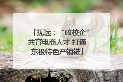 抚远：“政校企”共育电商人才 打通东极特色产销链