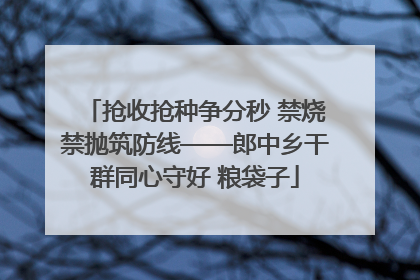 抢收抢种争分秒 禁烧禁抛筑防线——郎中乡干群同心守好 粮袋子