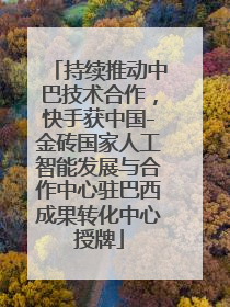 持续推动中巴技术合作，快手获中国-金砖国家人工智能发展与合作中心驻巴西成果转化中心授牌