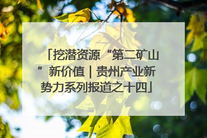 挖潜资源“第二矿山”新价值｜贵州产业新势力系列报道之十四