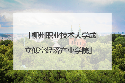 柳州职业技术大学成立低空经济产业学院
