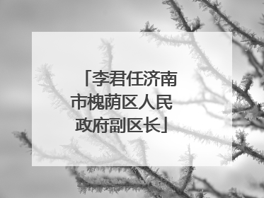 李君任济南市槐荫区人民政府副区长