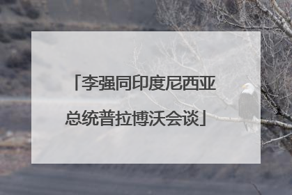 李强同印度尼西亚总统普拉博沃会谈