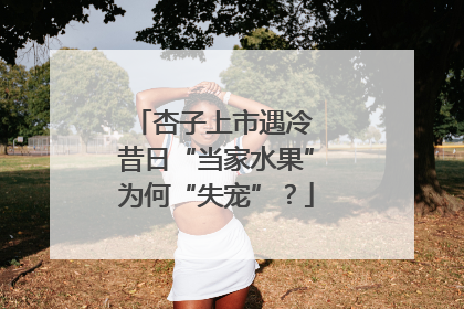 杏子上市遇冷 昔日“当家水果”为何“失宠”？