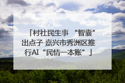 村社民生事 “智囊”出点子 嘉兴市秀洲区推行AI“民情一本账”