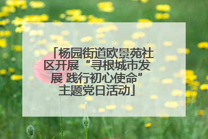 杨园街道欧景苑社区开展“寻根城市发展 践行初心使命”主题党日活动