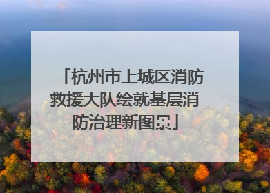 杭州市上城区消防救援大队绘就基层消防治理新图景