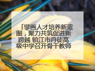 擘画人才培养新蓝图，聚力共筑促进新跨越 镇江市丹徒高级中学召开骨干教师培养大会