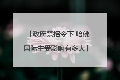 政府禁招令下 哈佛国际生受影响有多大