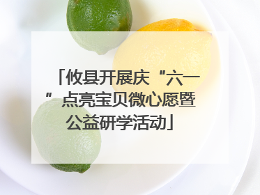 攸县开展庆“六一”点亮宝贝微心愿暨公益研学活动