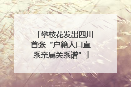 攀枝花发出四川首张“户籍人口直系亲属关系谱”