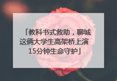 教科书式救助，聊城这俩大学生高架桥上演15分钟生命守护