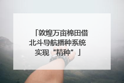 敦煌万亩棉田借北斗导航播种系统实现“精种”